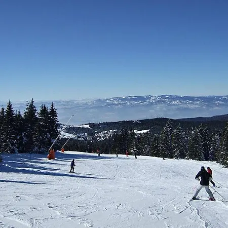 L&n Kopaonik-milmari Апартаменты Копаоник