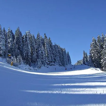 Апартаменты L&n Kopaonik-milmari