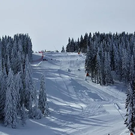 Апартаменты L&n Kopaonik-milmari *