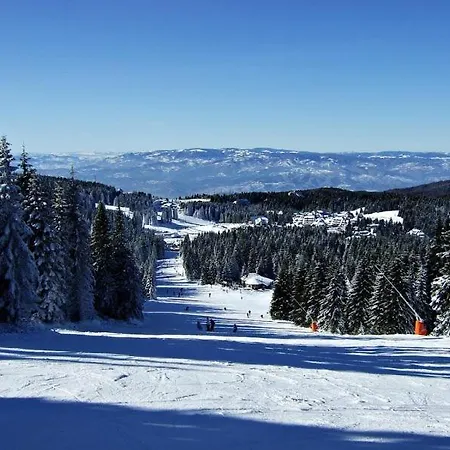 L&n Kopaonik-milmari Копаоник