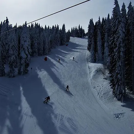 L&n Kopaonik-milmari