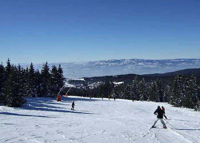 L&n Kopaonik-milmari Daire Kopaonik